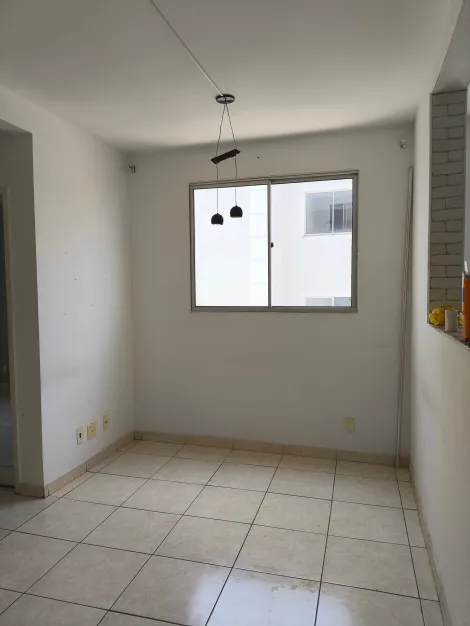 São José do Rio Preto - Rios di Itália - Apartamento - Padrão - Locaçao