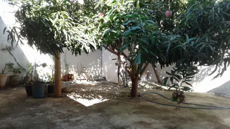 Comprar Casa / Padrão em São José do Rio Preto apenas R$ 280.000,00 - Foto 15