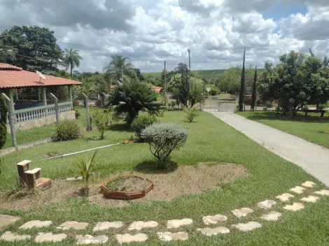 Comprar Rural / Chácara em Adolfo R$ 480.000,00 - Foto 4