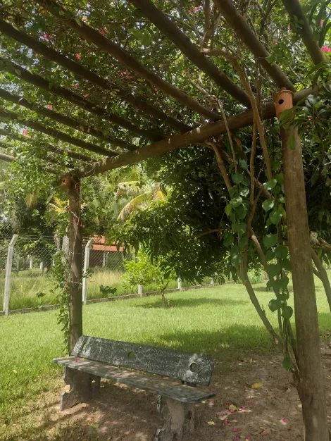 Comprar Rural / Chácara em Adolfo R$ 480.000,00 - Foto 5