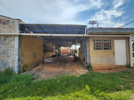 Comprar Comercial / Salão em São José do Rio Preto apenas R$ 3.800.000,00 - Foto 6