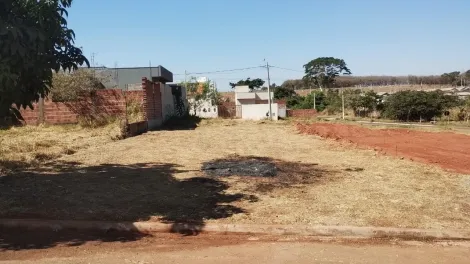 Terreno / Padrão em Bady Bassitt 