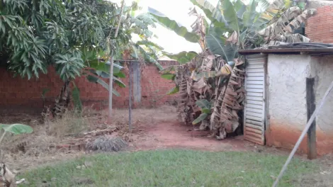 Comprar Rural / Chácara em São José do Rio Preto apenas R$ 250.000,00 - Foto 5