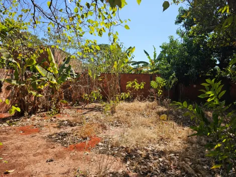 Comprar Rural / Chácara em São José do Rio Preto apenas R$ 250.000,00 - Foto 9