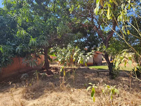 Comprar Rural / Chácara em São José do Rio Preto apenas R$ 250.000,00 - Foto 10