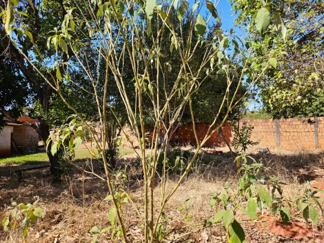 Comprar Rural / Chácara em São José do Rio Preto apenas R$ 250.000,00 - Foto 13