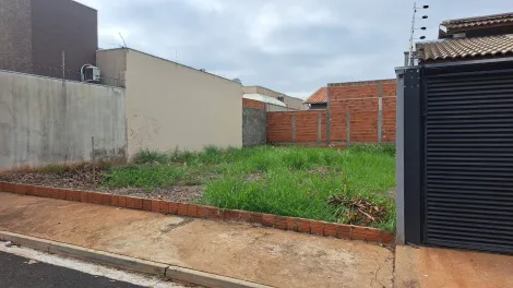 Comprar Terreno / Padrão em São José do Rio Preto apenas R$ 150.000,00 - Foto 2