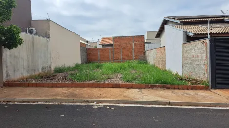 Comprar Terreno / Padrão em São José do Rio Preto apenas R$ 150.000,00 - Foto 3