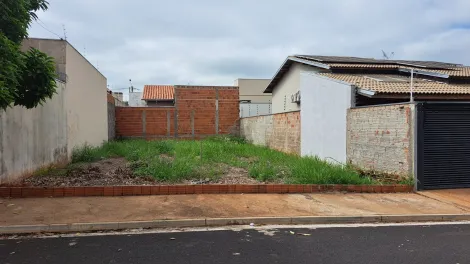 Terreno / Padrão em São José do Rio Preto 