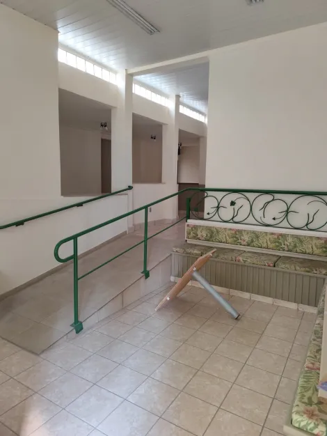 Comercial / Casa Comercial em São José do Rio Preto 