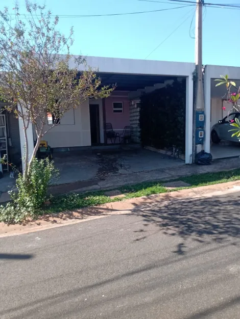 Casa / Condomínio em São José do Rio Preto 