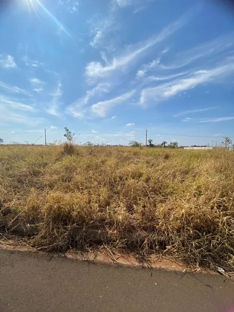 Terreno / Padrão em São José do Rio Preto 