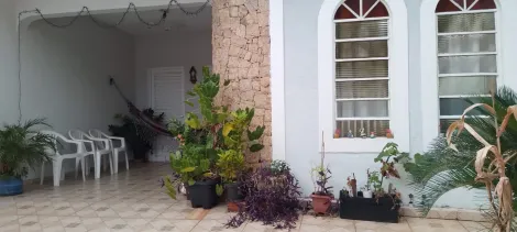 Casa / Padrão em São José do Rio Preto 