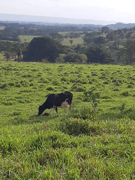 Comprar Rural / Sítio em Cachoeira Alta apenas R$ 6.800.000,00 - Foto 3