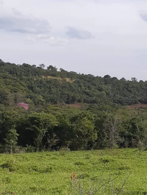 Comprar Rural / Sítio em Cachoeira Alta apenas R$ 6.800.000,00 - Foto 9