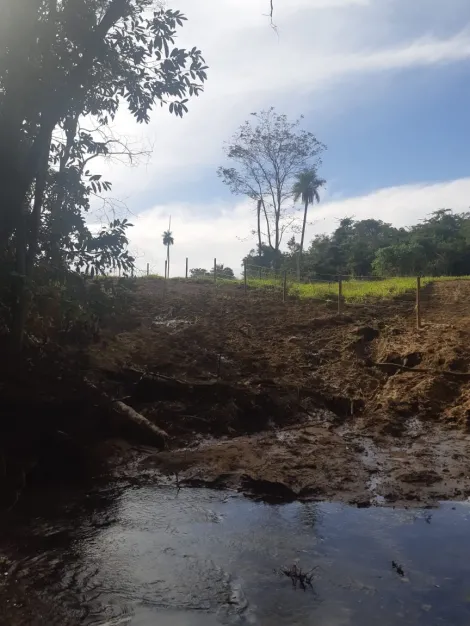 Comprar Rural / Sítio em Cachoeira Alta apenas R$ 6.800.000,00 - Foto 10