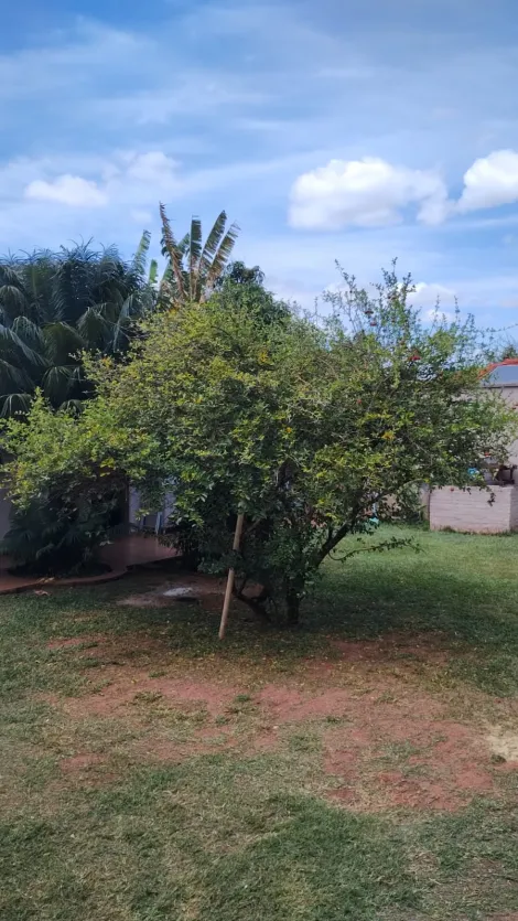 Comprar Casa / Condomínio em Guapiaçu apenas R$ 1.000.000,00 - Foto 18