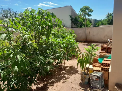 Comprar Casa / Padrão em São José do Rio Preto apenas R$ 470.000,00 - Foto 20