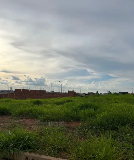 Comprar Terreno / Condomínio em São José do Rio Preto apenas R$ 180.000,00 - Foto 5