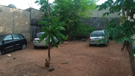 Terreno / Padrão em São José do Rio Preto 