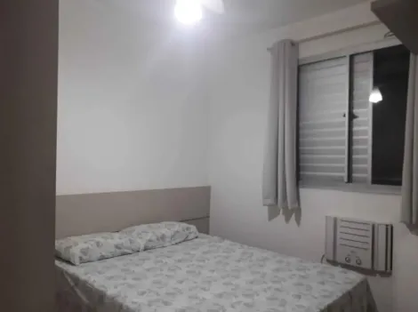 Alugar Apartamento / Padrão em São José do Rio Preto apenas R$ 850,00 - Foto 11