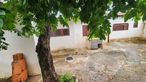 Alugar Casa / Padrão em São José do Rio Preto R$ 850,00 - Foto 11