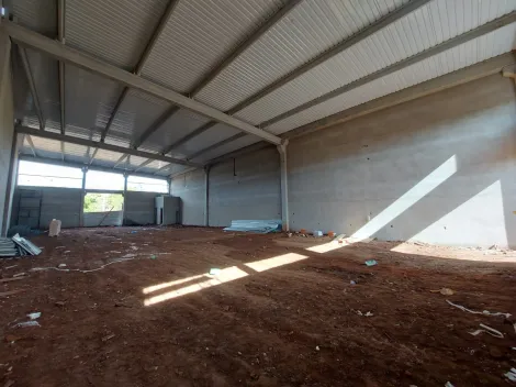 Alugar Terreno / Área em São José do Rio Preto apenas R$ 15.000,00 - Foto 3