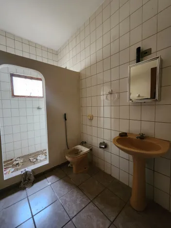 Alugar Casa / Padrão em São José do Rio Preto R$ 1.300,00 - Foto 10