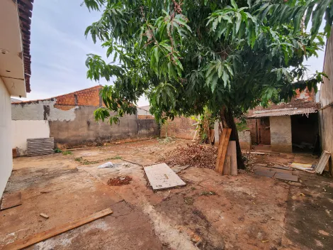 Alugar Casa / Padrão em São José do Rio Preto R$ 1.300,00 - Foto 14