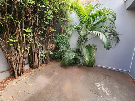 Alugar Comercial / Casa Comercial em São José do Rio Preto apenas R$ 4.200,00 - Foto 15