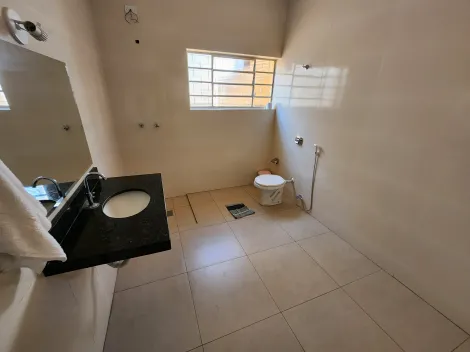 Alugar Comercial / Casa Comercial em São José do Rio Preto R$ 3.500,00 - Foto 8