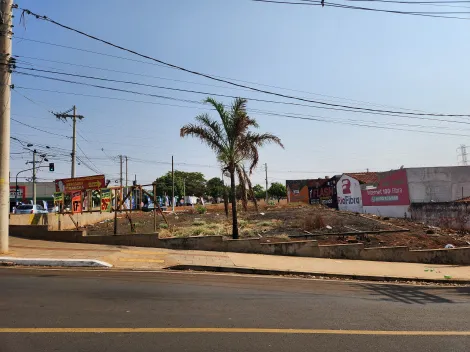 Alugar Terreno / Área em São José do Rio Preto R$ 30.000,00 - Foto 5