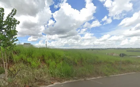 Terreno / Padrão em São José do Rio Preto 