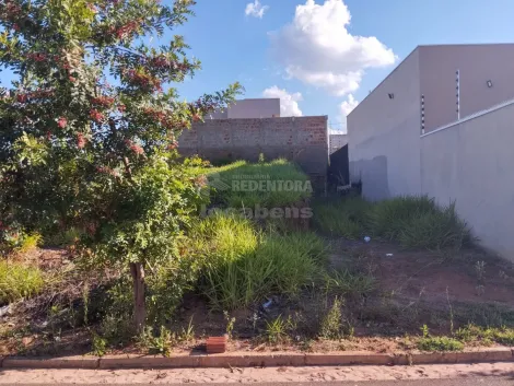 Comprar Terreno / Padrão em São José do Rio Preto R$ 110.000,00 - Foto 2