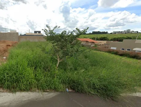 Terreno / Padrão em São José do Rio Preto 