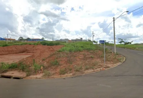 Terreno / Padrão em São José do Rio Preto 