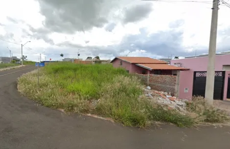 Terreno / Padrão em São José do Rio Preto 