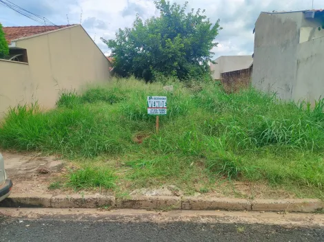 Comprar Terreno / Padrão em São José do Rio Preto apenas R$ 105.000,00 - Foto 5