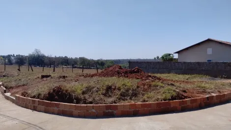 Terreno / Padrão em São José do Rio Preto 