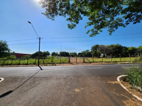 Terreno / Padrão em São José do Rio Preto 