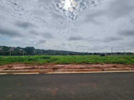 Terreno / Padrão em São José do Rio Preto 