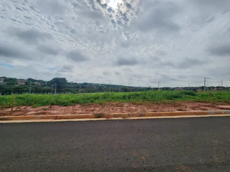 Terreno / Padrão em São José do Rio Preto 