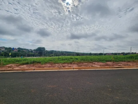 Terreno / Padrão em São José do Rio Preto 