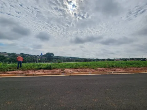 Terreno / Padrão em São José do Rio Preto 