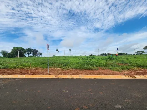 Terreno / Padrão em São José do Rio Preto 