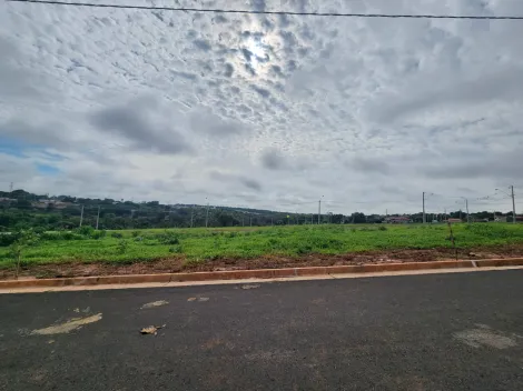 Terreno / Padrão em São José do Rio Preto 