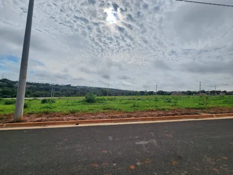 Terreno / Padrão em São José do Rio Preto 