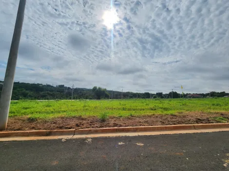 Terreno / Padrão em São José do Rio Preto 