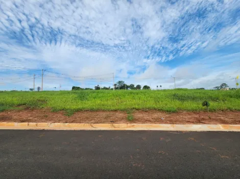 Terreno / Padrão em São José do Rio Preto 