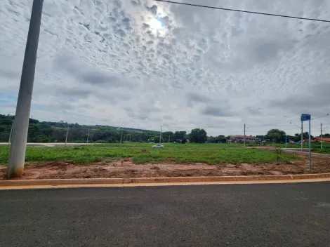 Terreno / Padrão em São José do Rio Preto 